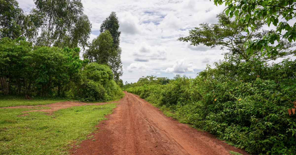 Campaign cover image for Giving Tuesday 2025 - Road To Freedom