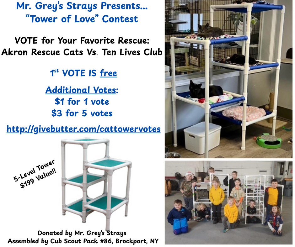 Campaign cover image for Help a rescue win a cat tree