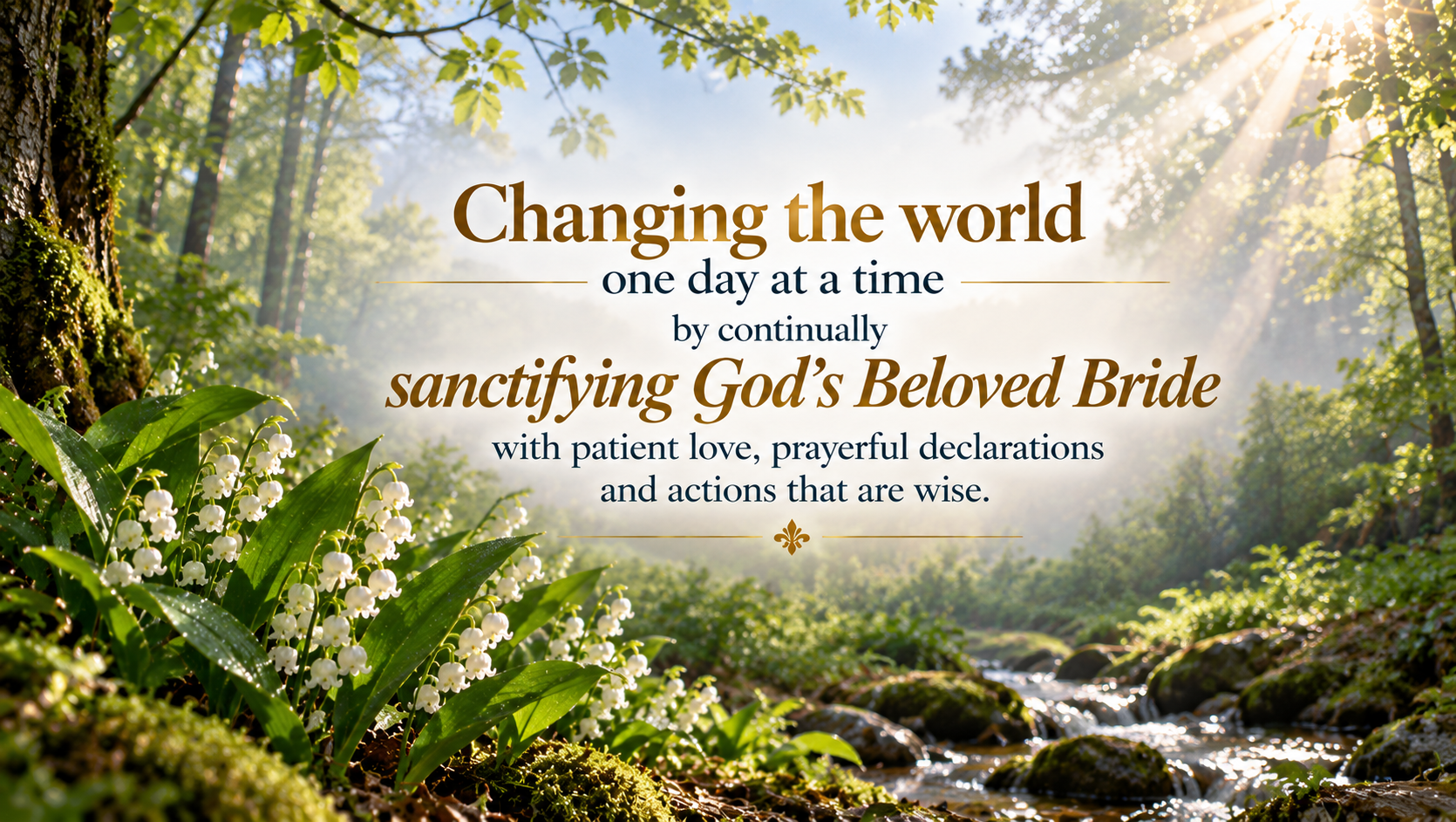 Campaign cover for Help "Soul Fitness Ministries, Inc." to continue to participate and assist Our Lord in the sanctification of His Beloved Bride!