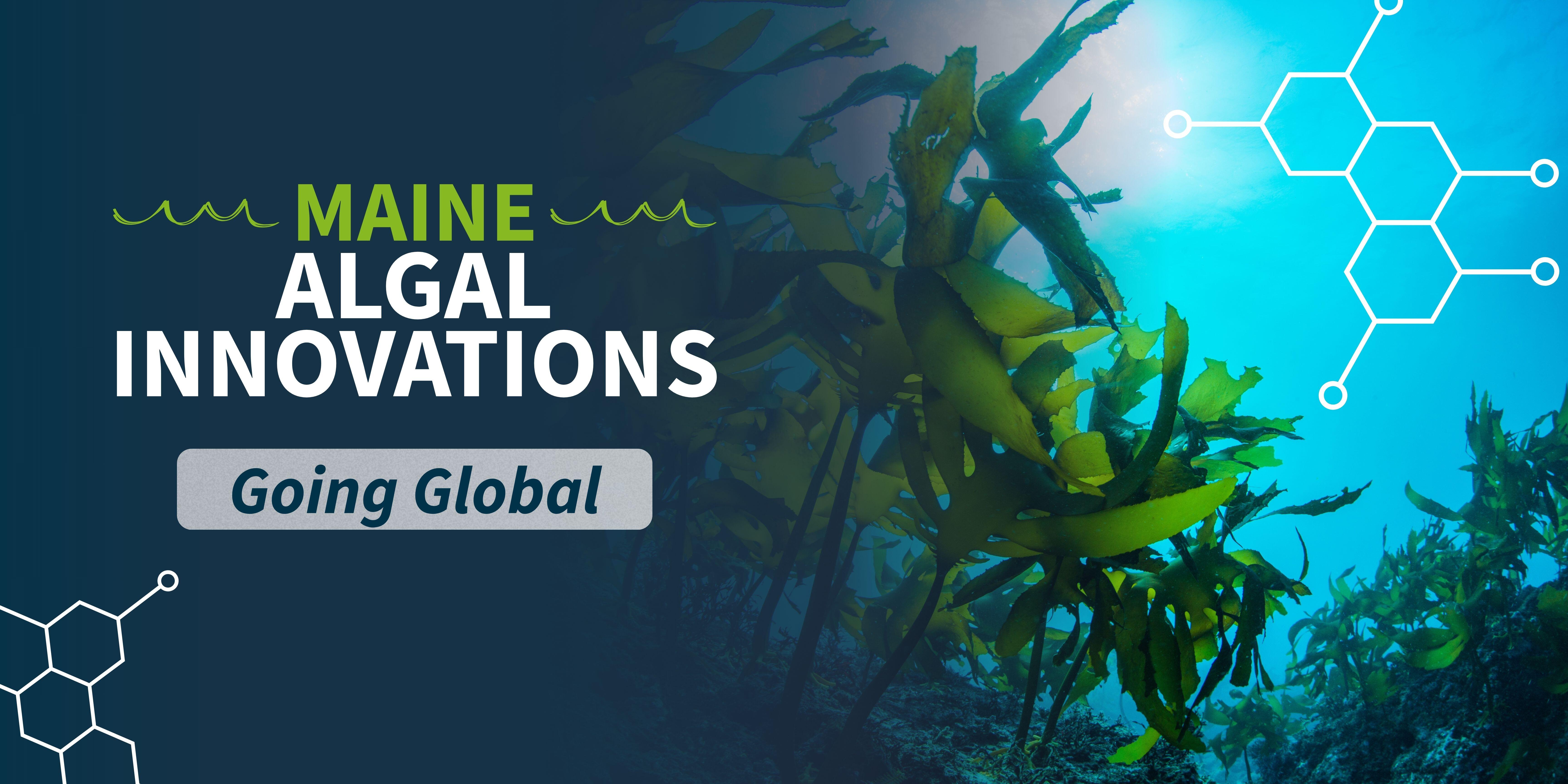 Campaign cover image for Maine Algal Innovations - Strategic Global Positioning