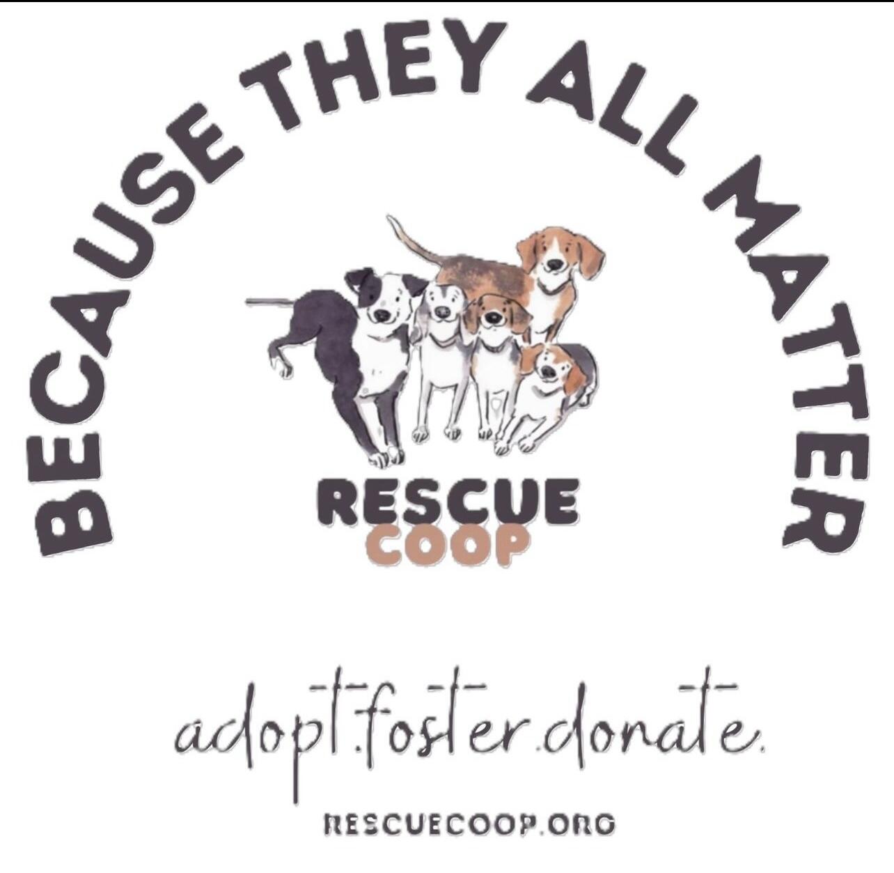 Campaign cover image for Lola’s Beauty Benefit!