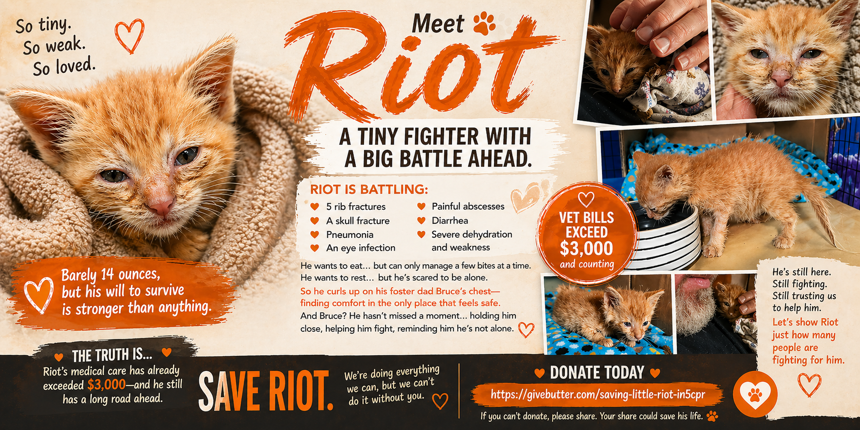 Campaign cover image for Saving Little Riot