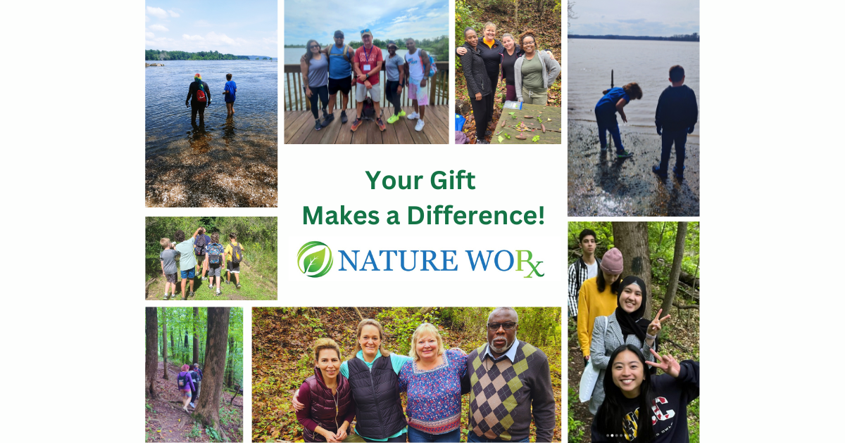 Campaign cover image for Monthly Giving Campaign