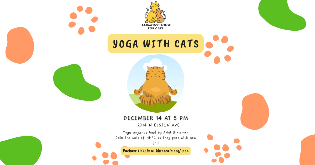 Campaign cover image for Yoga with Cats! - 12/14/2025