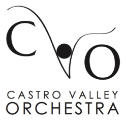 Campaign cover image for Support Castro Valley Orchestra