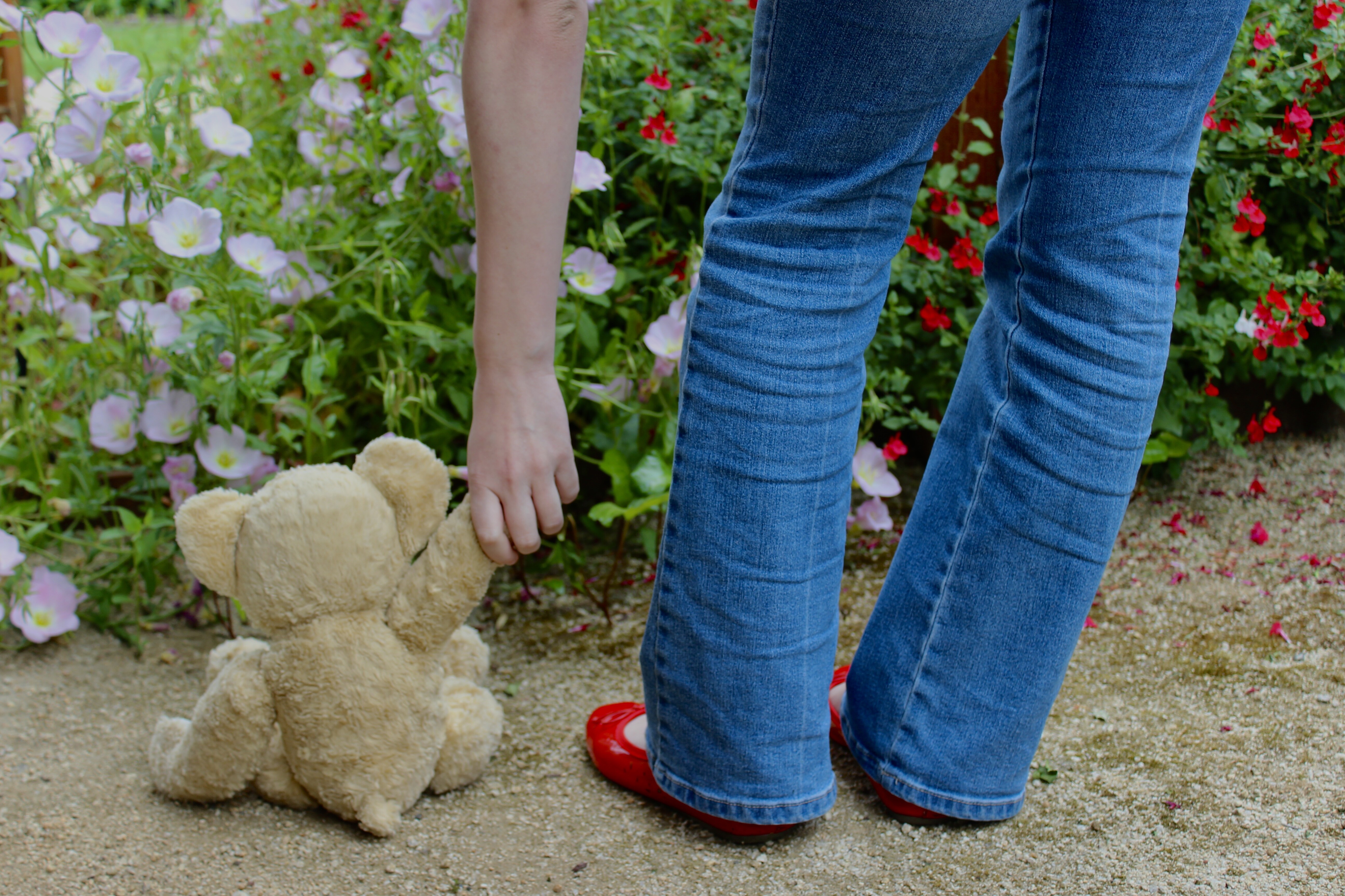 Campaign cover image for The Victor Promos Early Releases