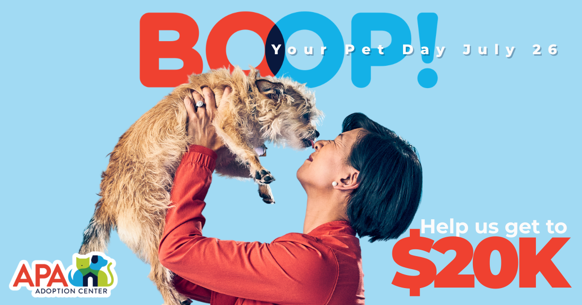 Campaign cover image for National Boop Your Pet Day 2026