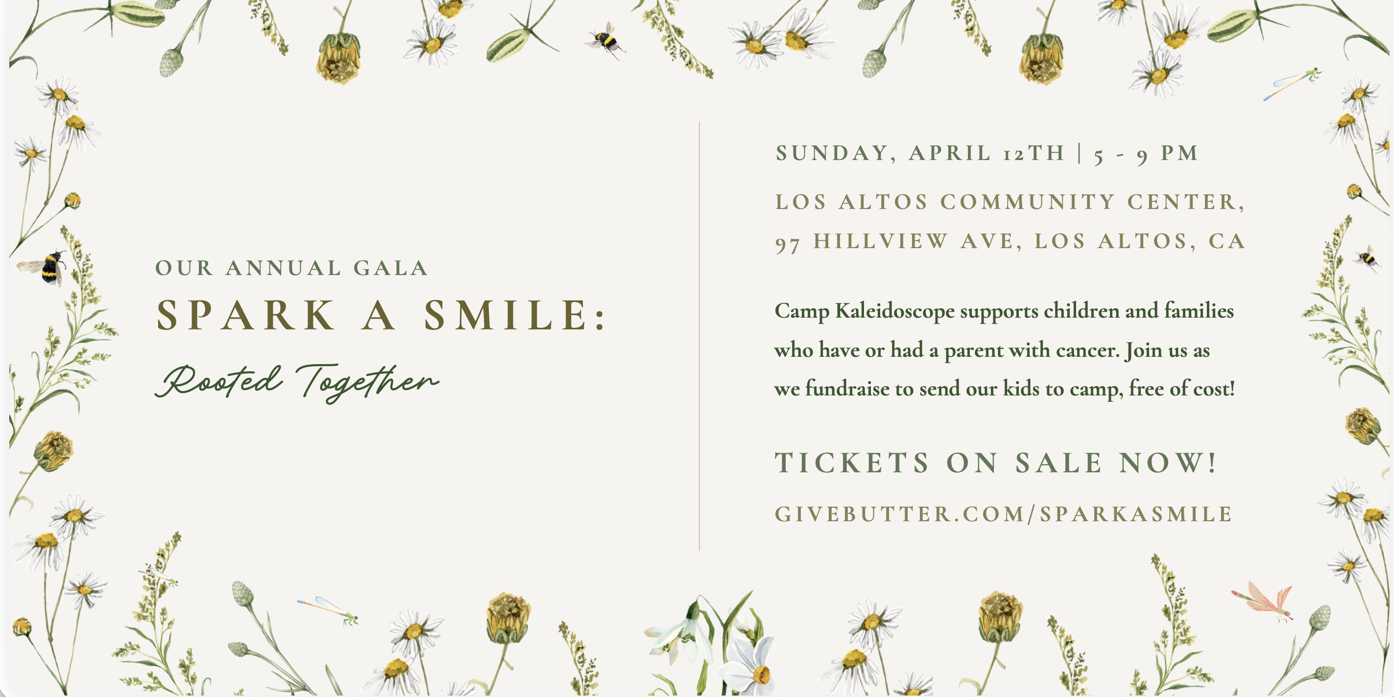 Campaign cover image for Spark A Smile 2026 Annual Gala