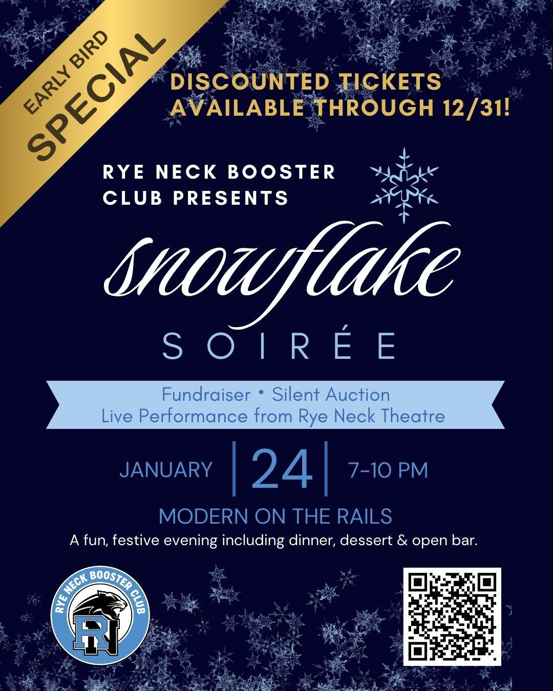 Campaign cover image for Rye Neck Booster Club Snowflake Soirée