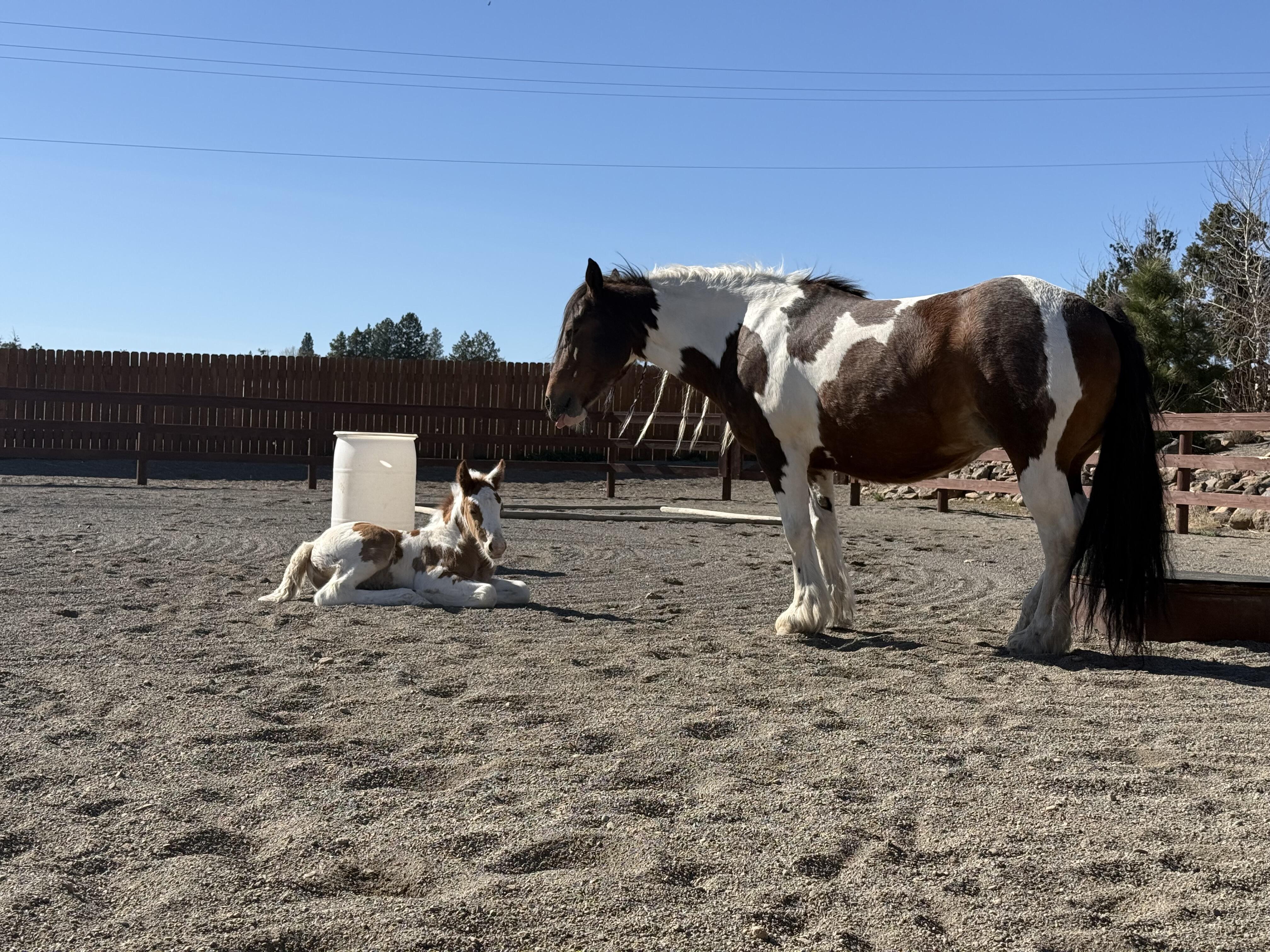 Campaign cover for General Donate Now