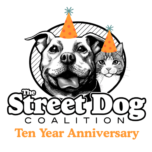 Campaign cover image for SDC Ten Year Anniversary Auction