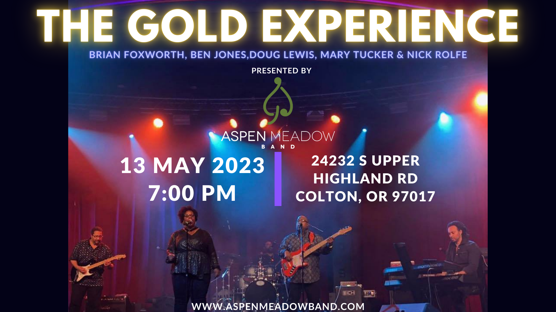Campaign cover image for The Gold Experience | Benefit Concert for Elevate Unity