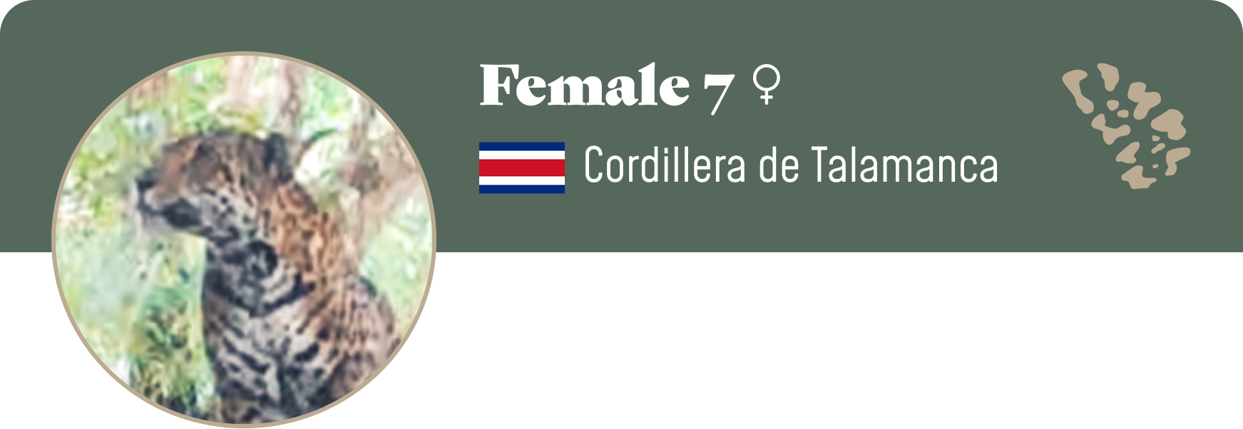 Campaign cover image for Adopt Female 7