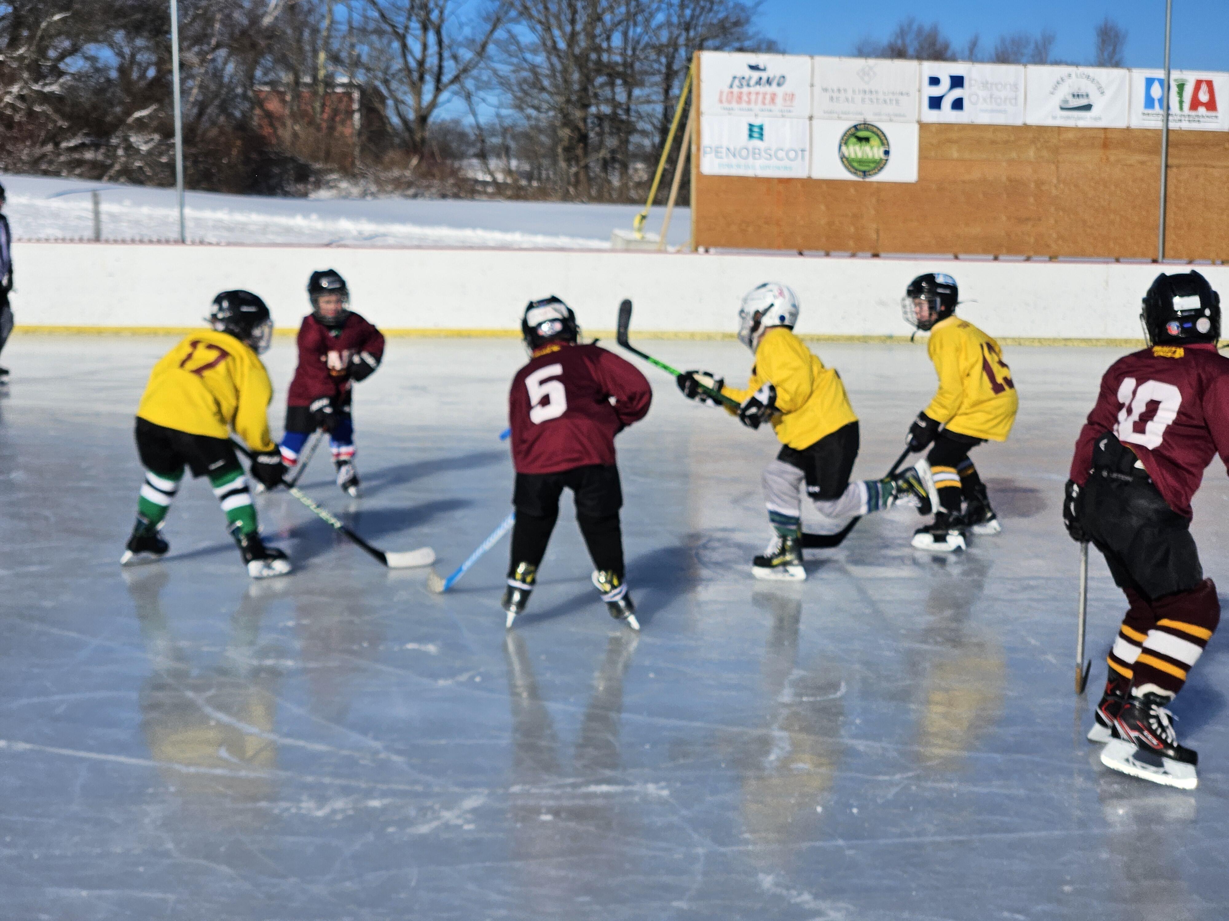 Campaign cover image for MLK Day '26 Youth Pond Hockey Tournament