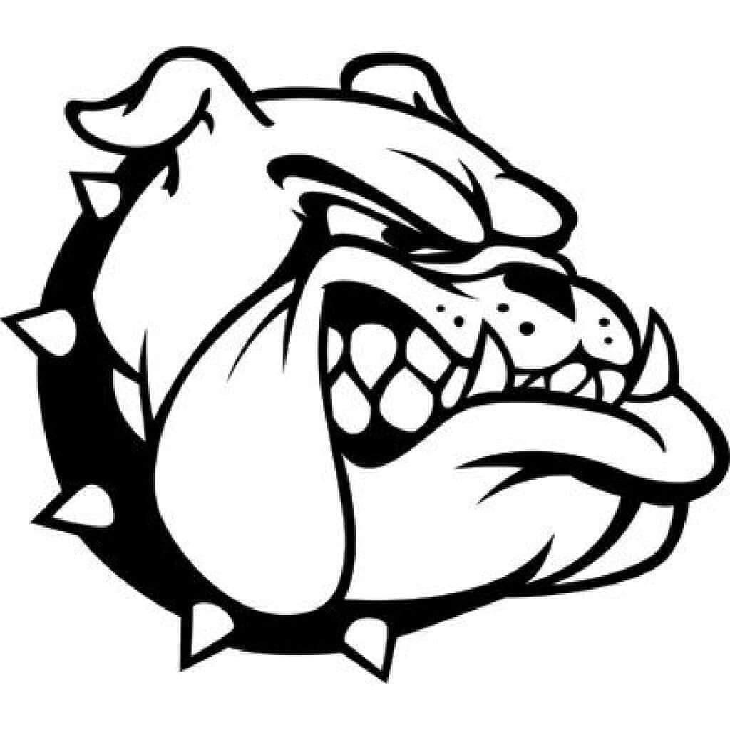 Bulldog Boxing Club