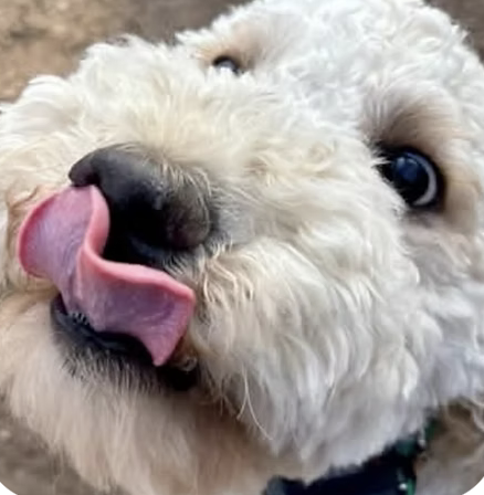 Winnie | Best Smile | Mona Smith logo