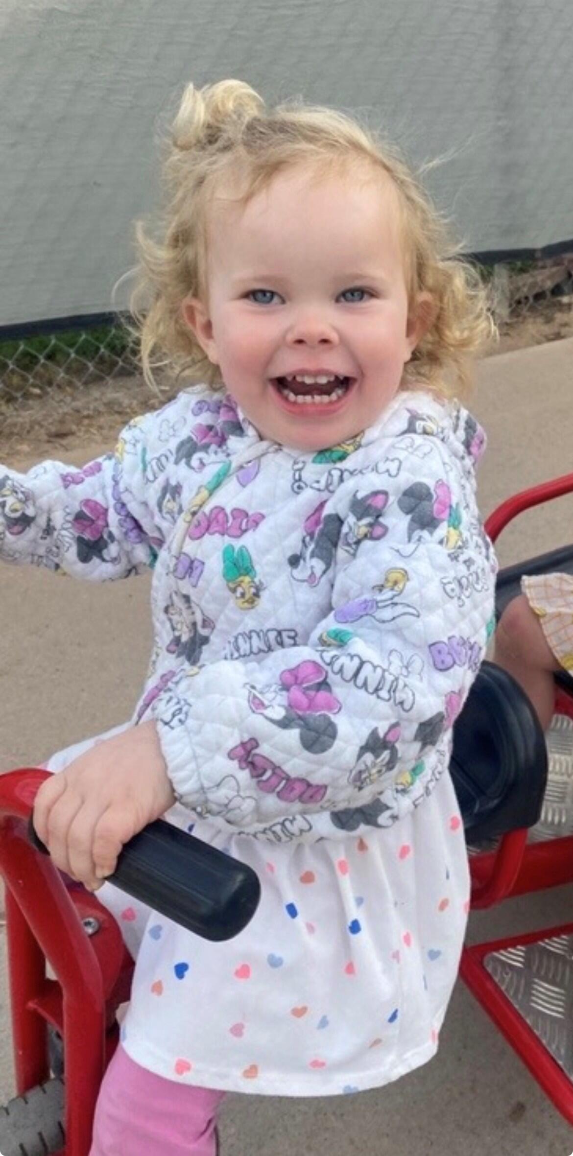 Zinnia's Moasic Masterpiece logo