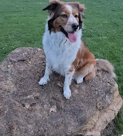 Rousey | Best Smile | Keith B. logo