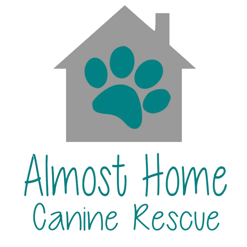 Almost Home Canine Rescue