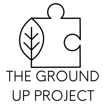 The Ground Up Project Inc