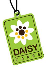 DaisyCares