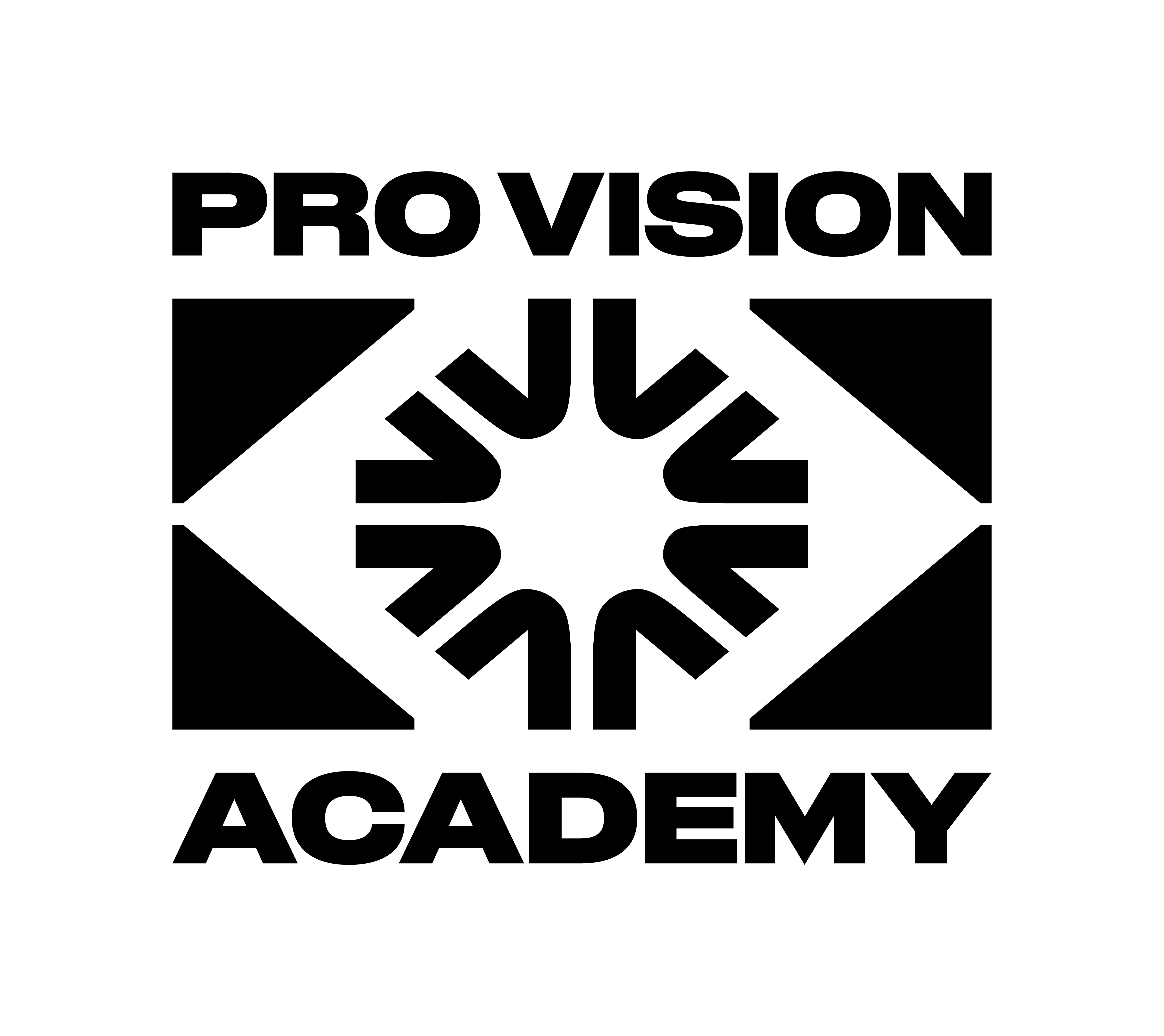 Pro Vision Foundation
