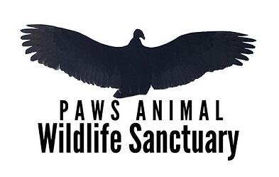 Paws Animal Wildlife Sanctuary, Inc.