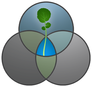 Clement Waters Retreat