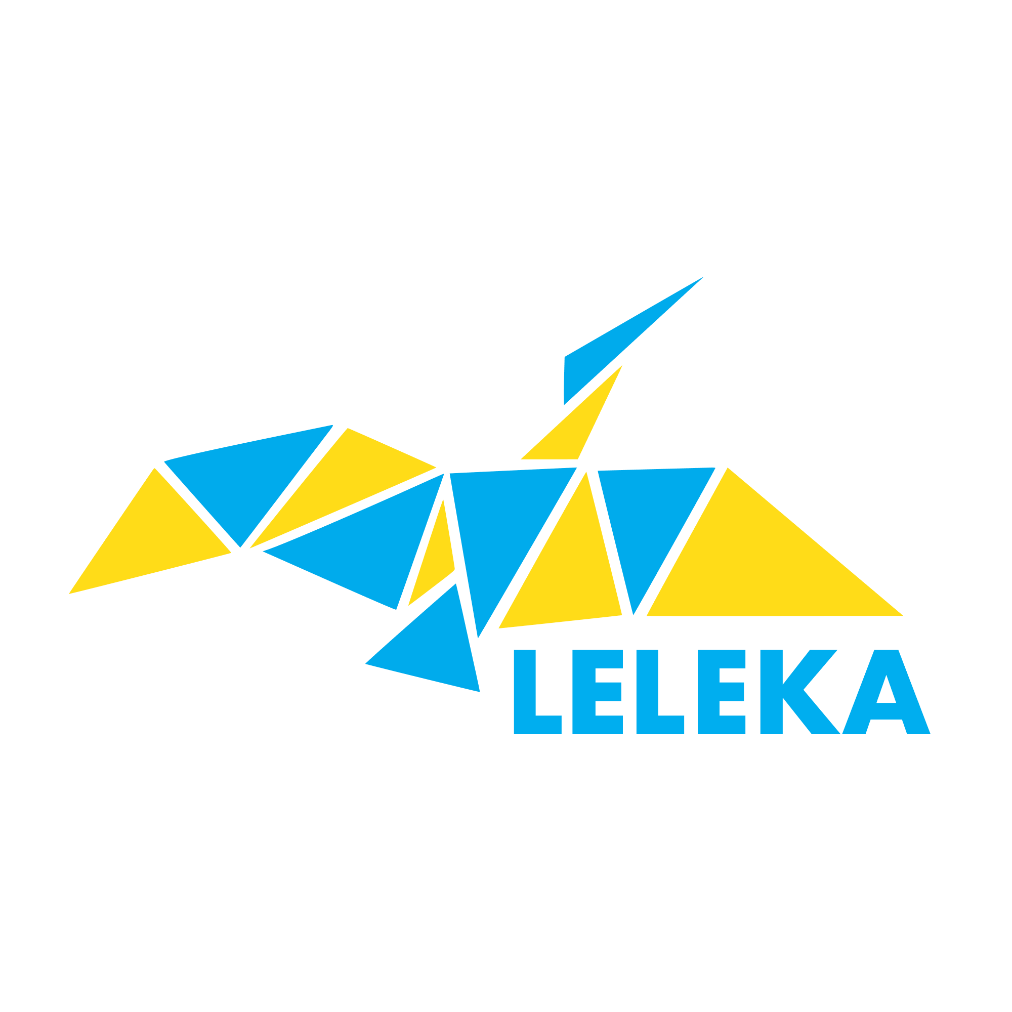 Leleka Foundation