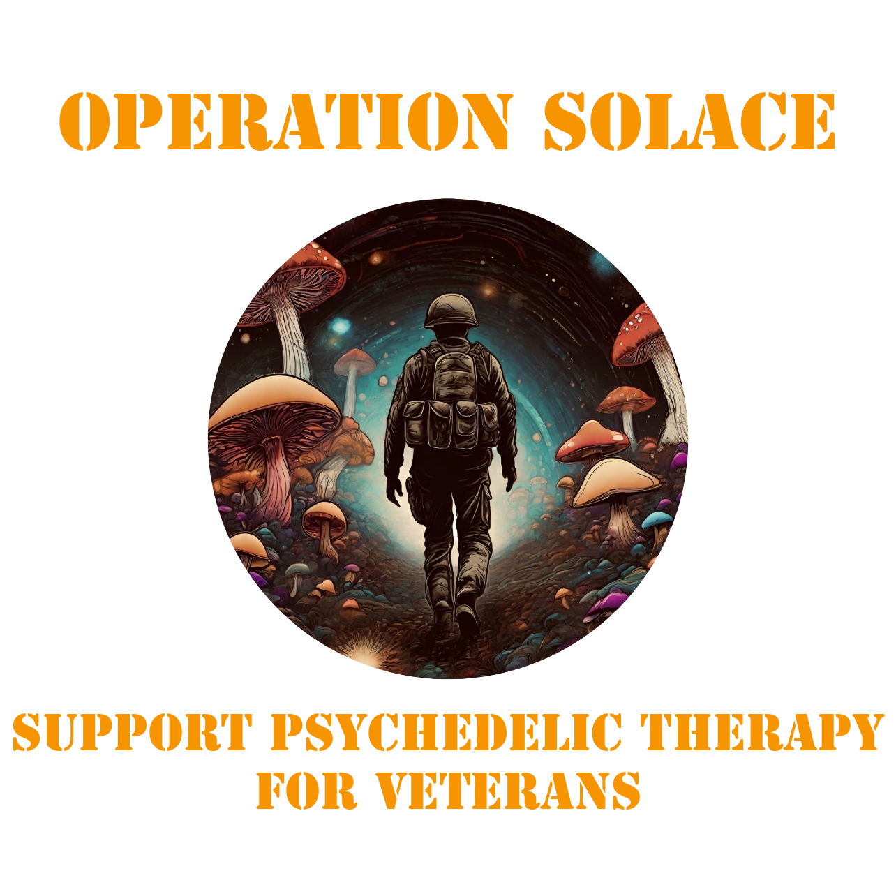 Operation Solace Foundation