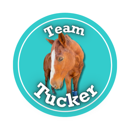Team Tucker logo