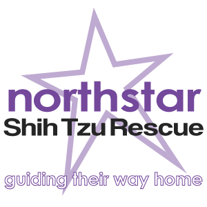 NORTHSTAR SHIH TZU RESCUE