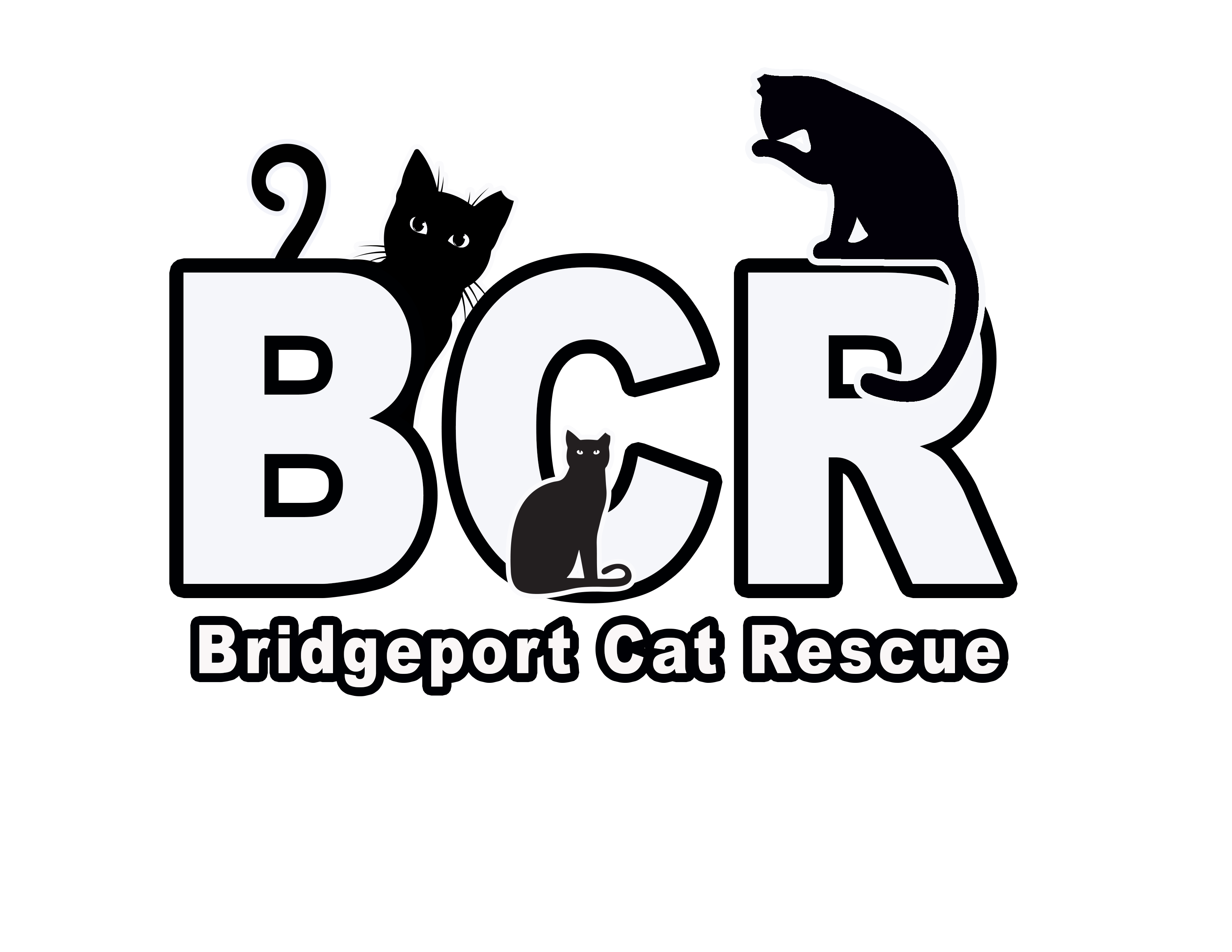 Bridgeport Cat Rescue