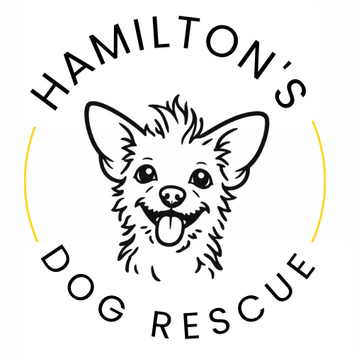 Gilmore Dog Rescue