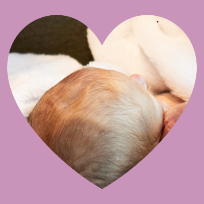 Team Riley Rae logo