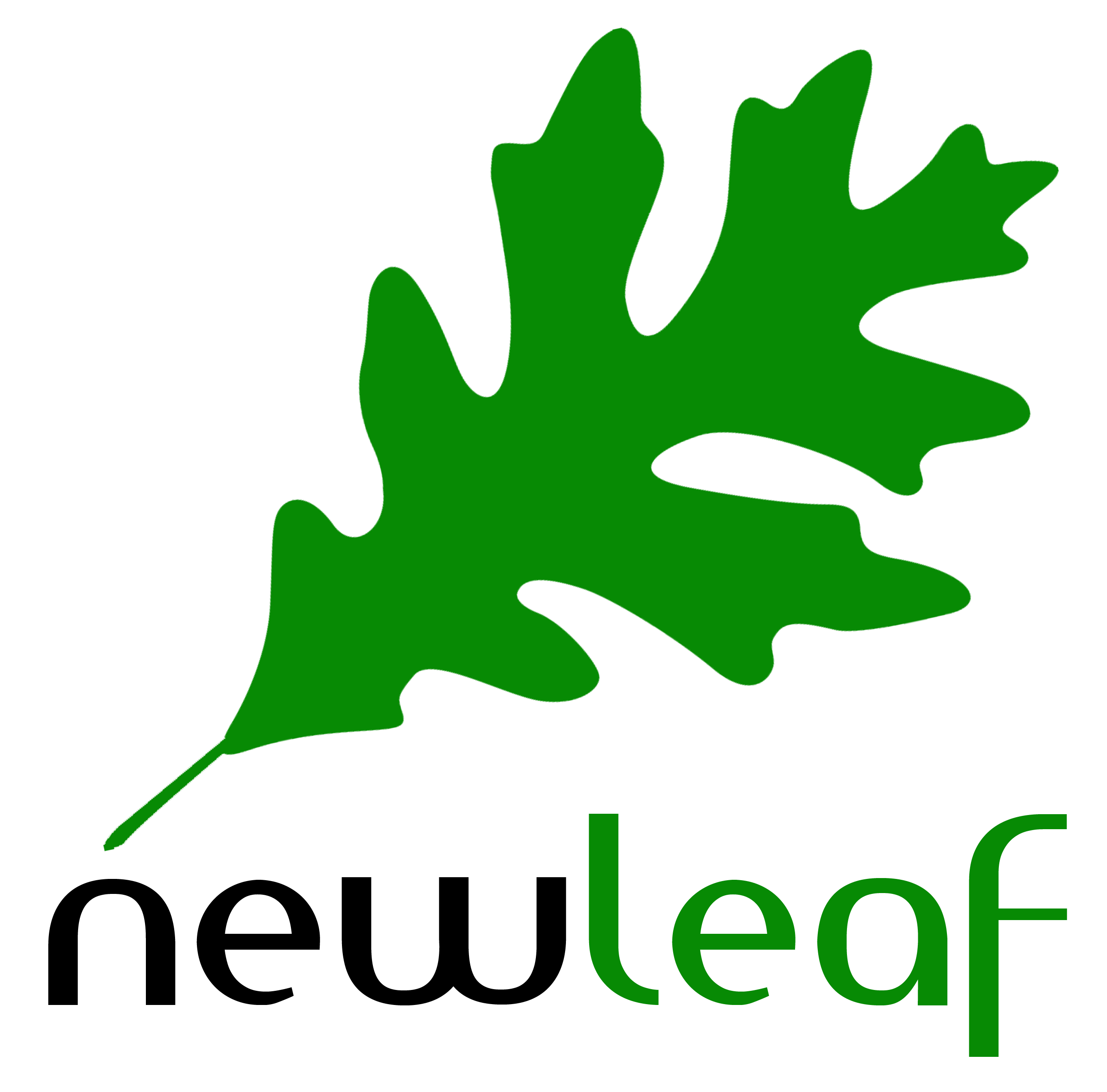 New Leaf Inc