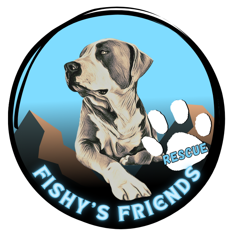 Fishys Friends Rescue Inc
