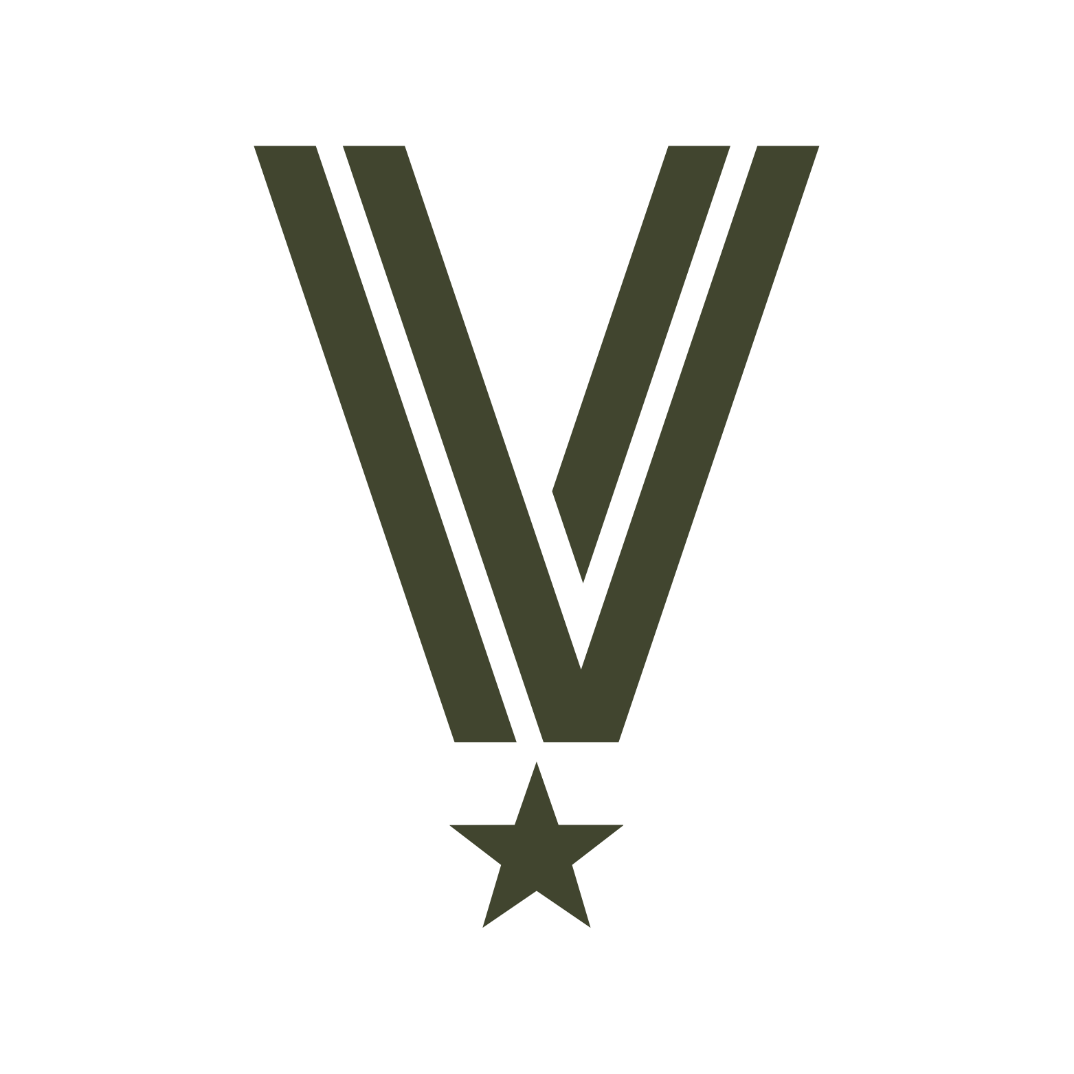 Veterans for All Voters