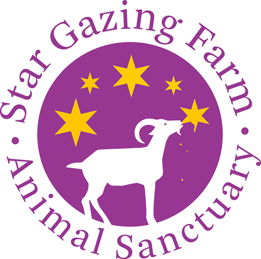 Star Gazing Farm