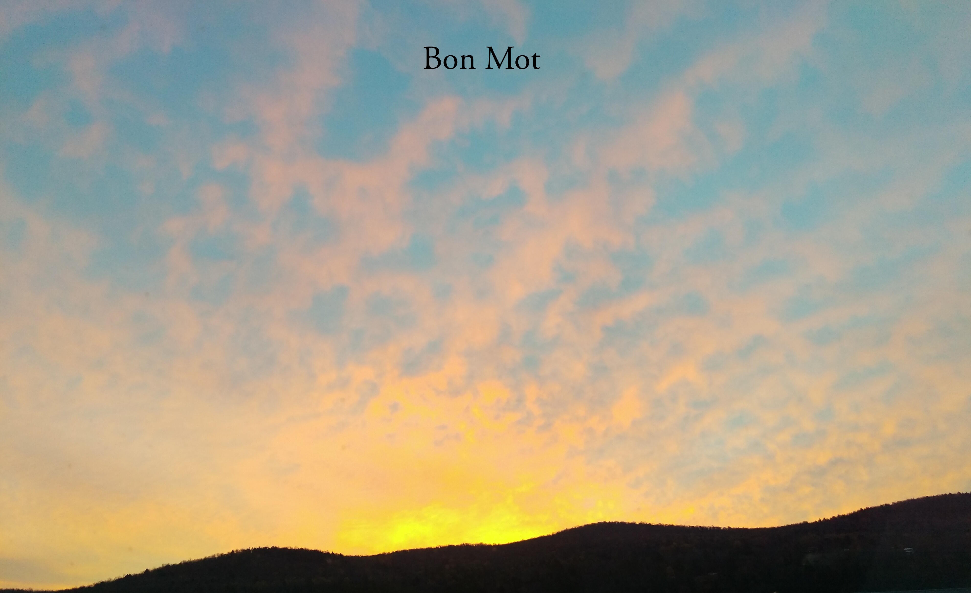 Bon Mot