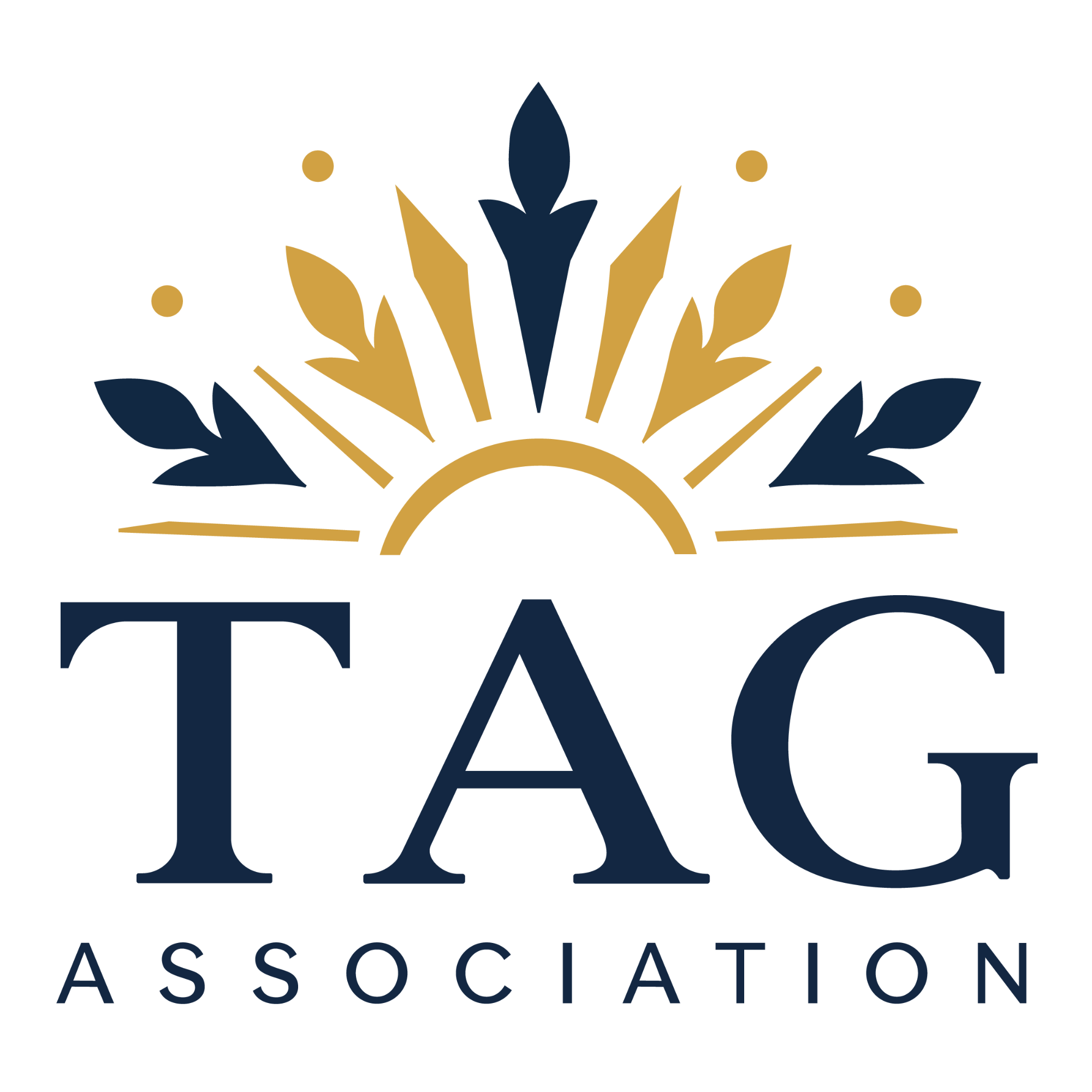 Talented And Gifted Association