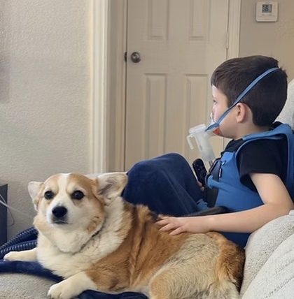 Reba | Best Child Handler | The Johnson Family logo