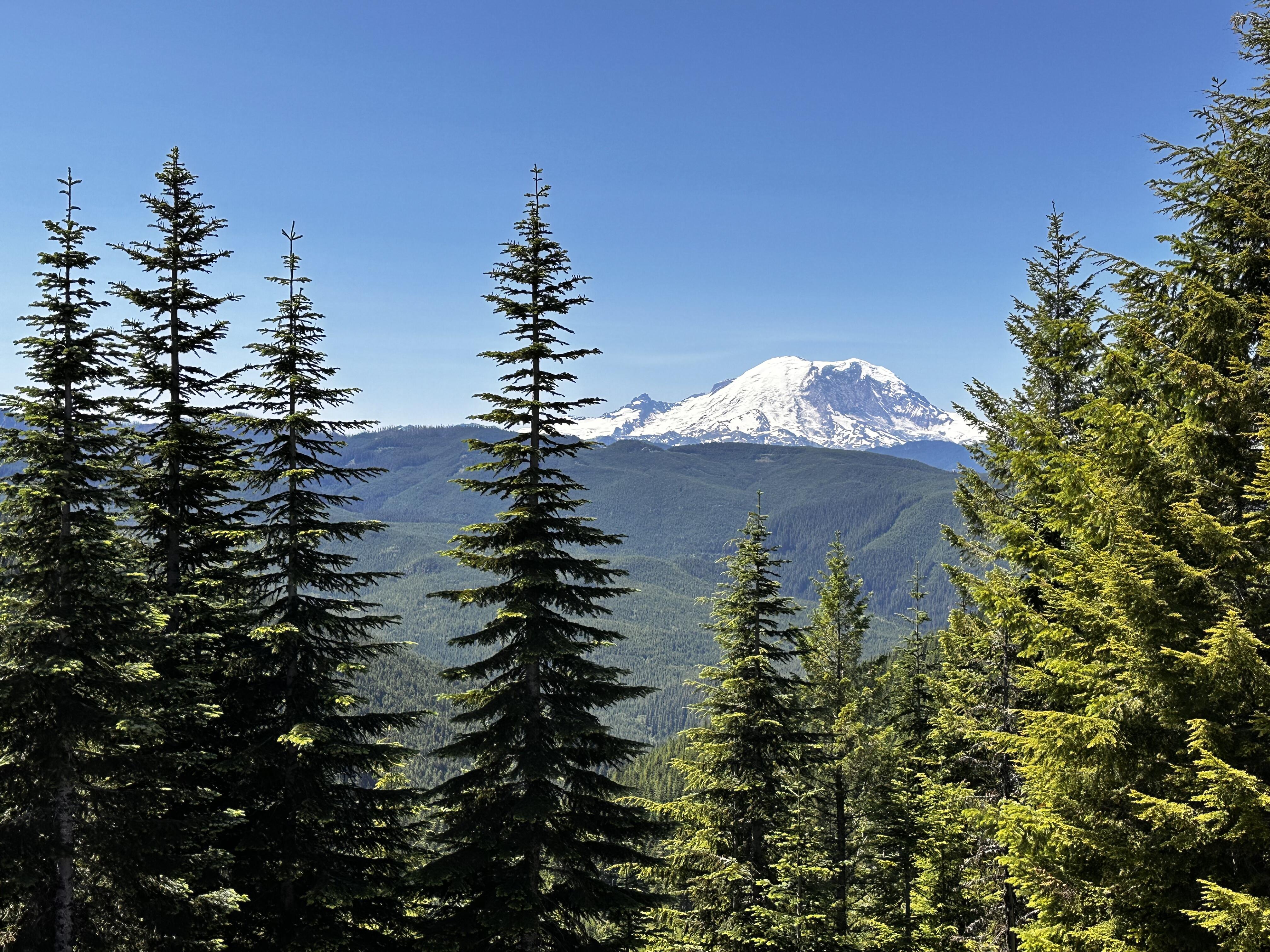 Wilkeson Historical District