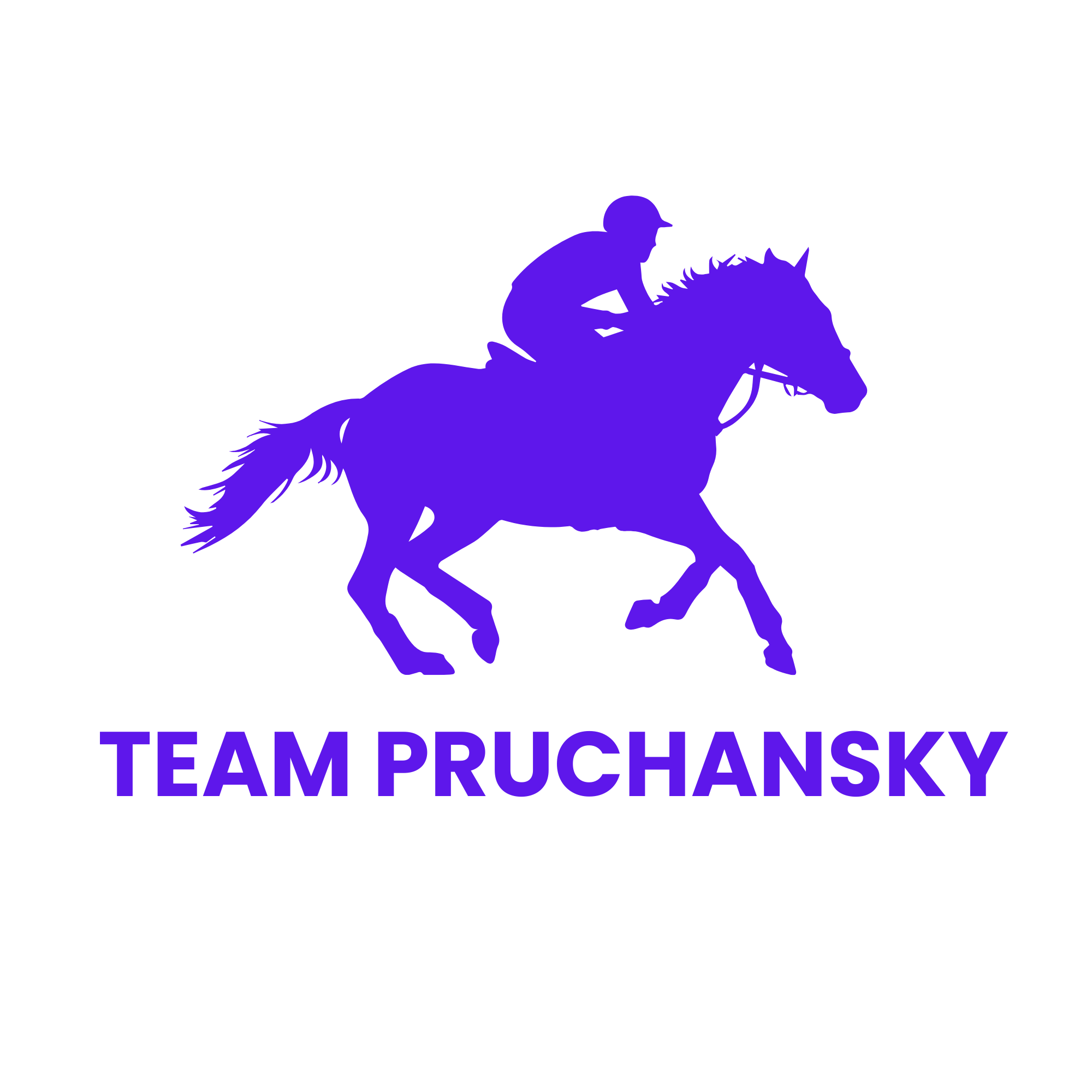 Team Pruchansky logo