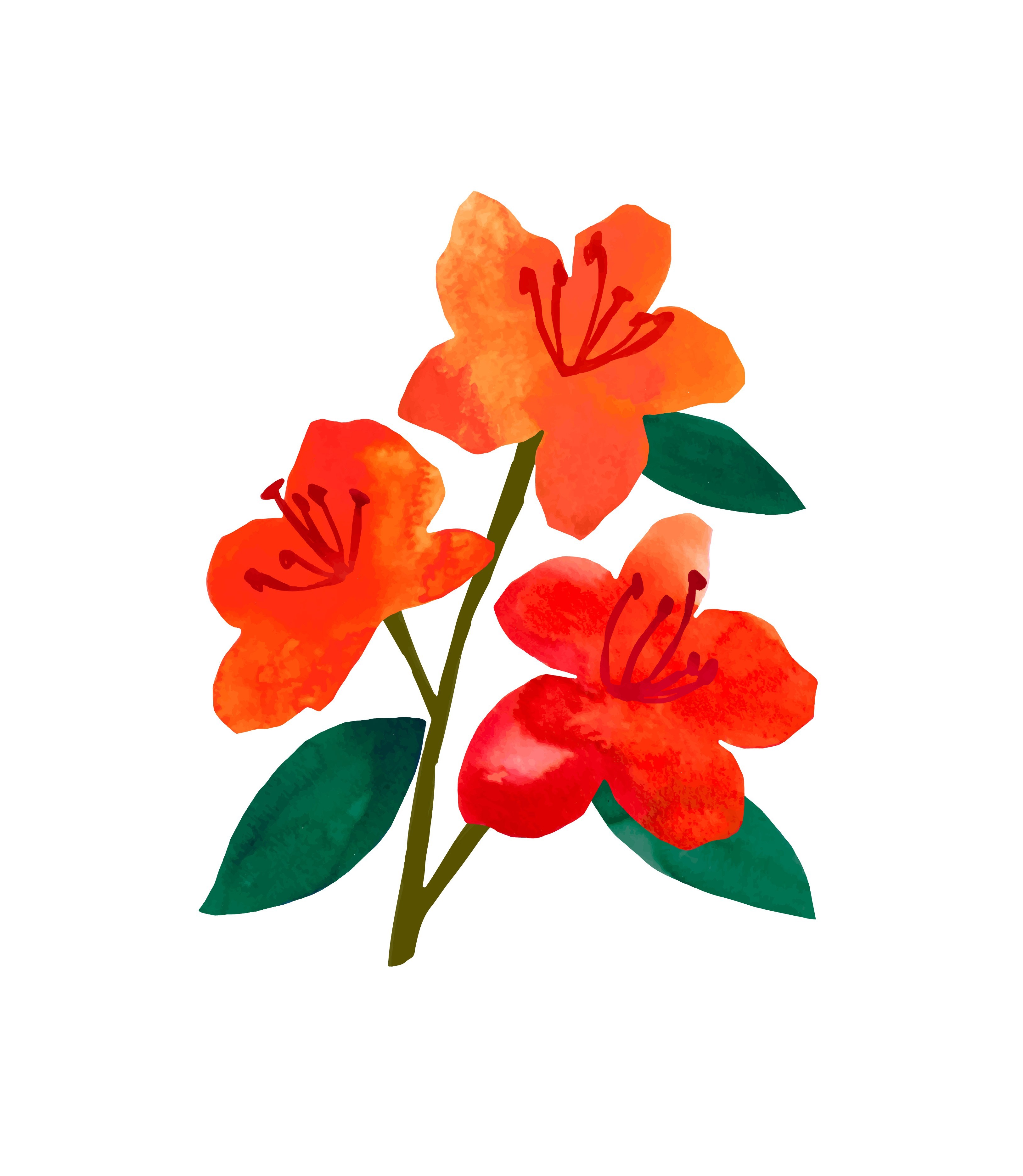 Azalea Montessori School