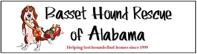 Basset Hound Rescue of Alabama Inc A Not for Profit Corporation