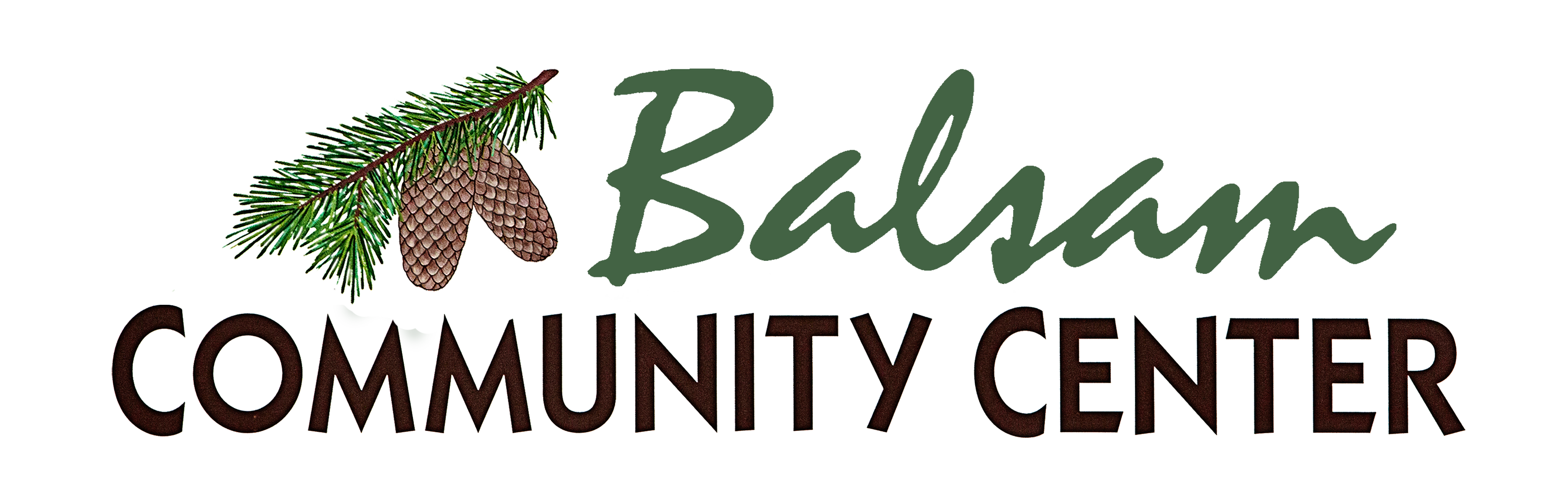 Balsam Community Center Inc