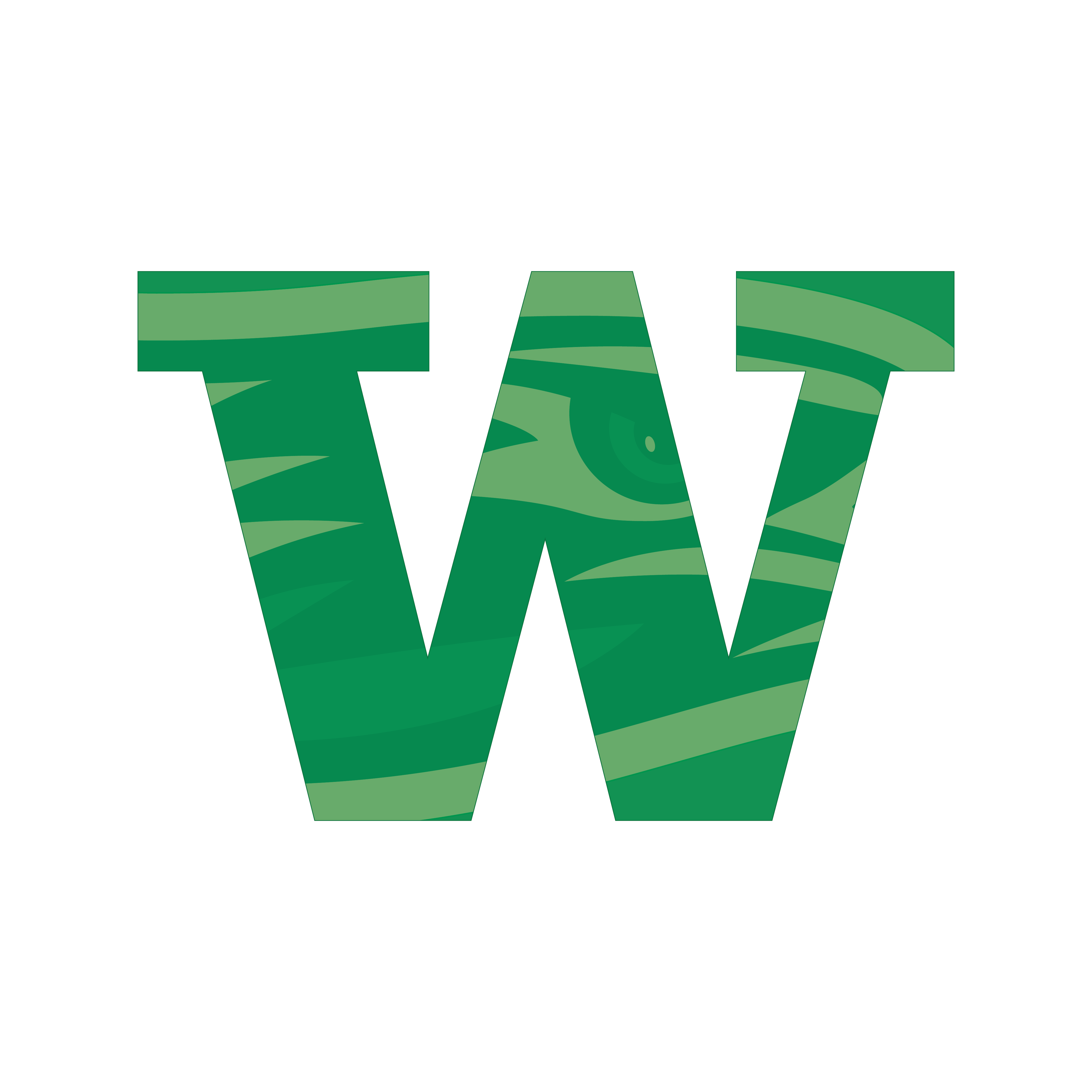 Falcon Gridiron Club
