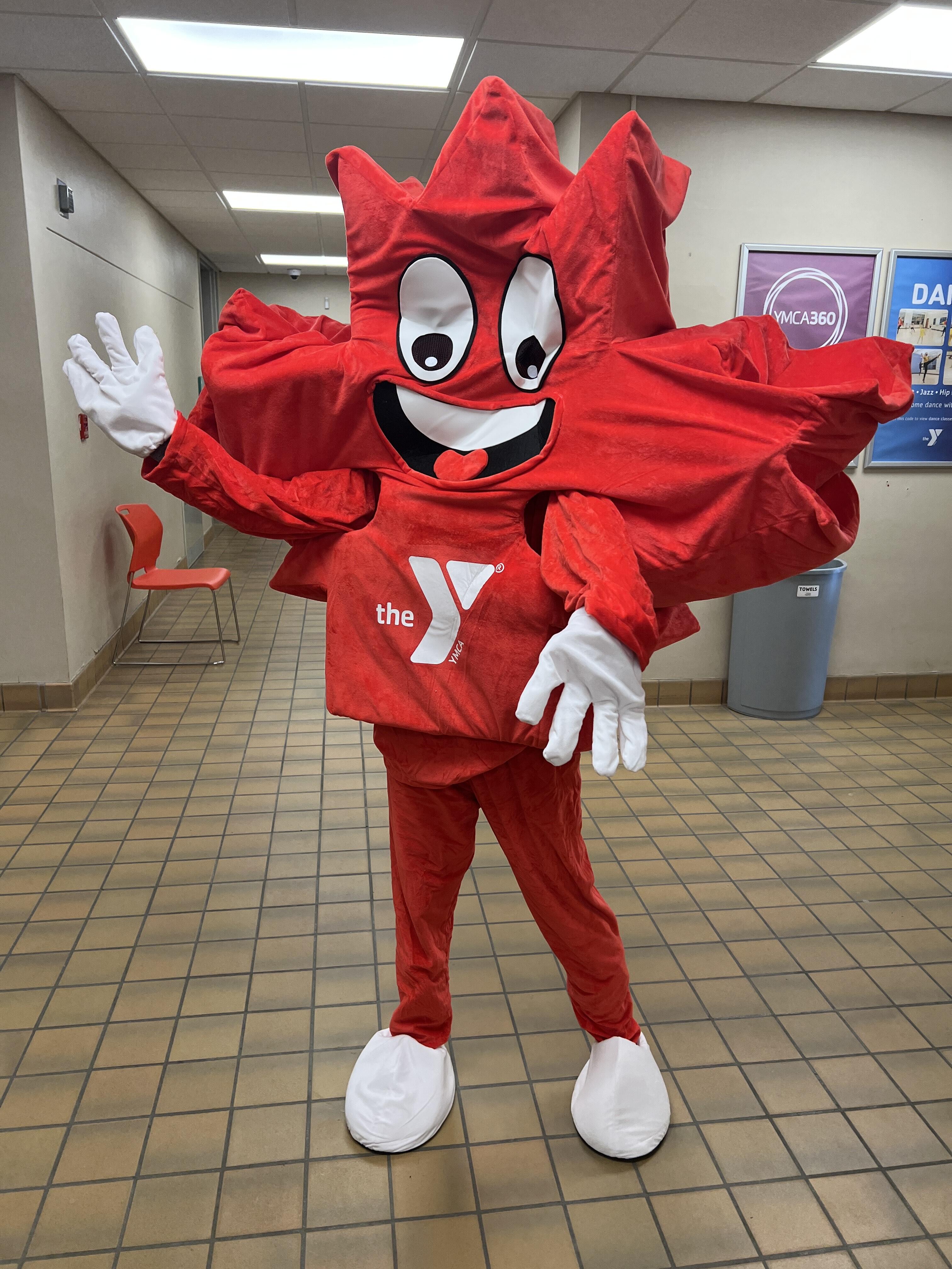 Team YMCA logo