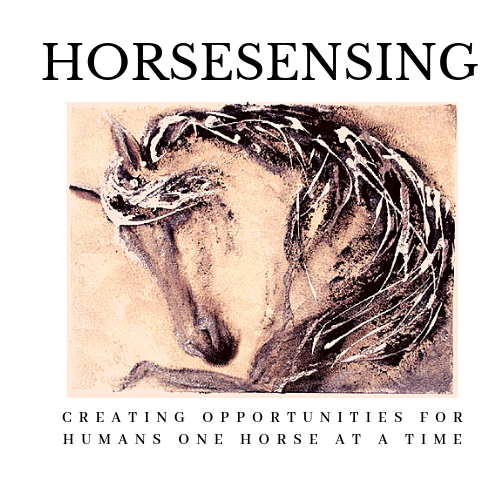 Horsesensing Inc